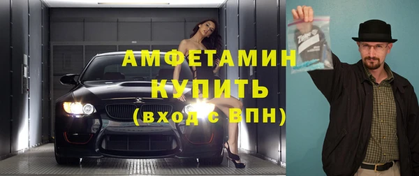 шишки Белокуриха