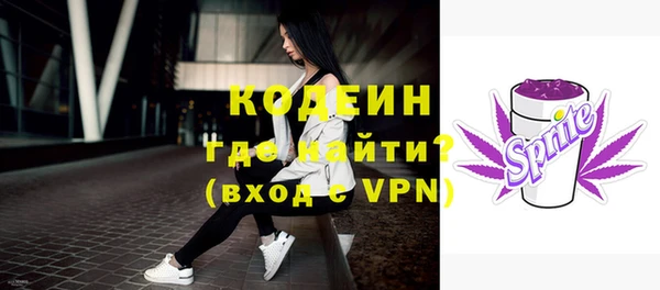 ГАЛЛЮЦИНОГЕННЫЕ ГРИБЫ Богданович