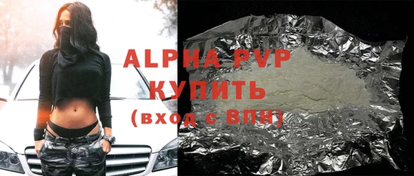 шишки Белокуриха