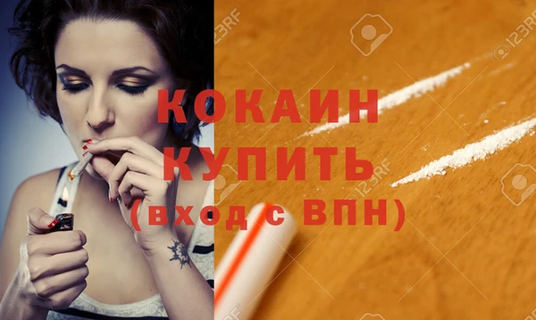 шишки Белокуриха