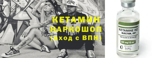 шишки Белокуриха